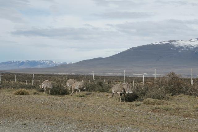 Urlaub in Südamerika 2011